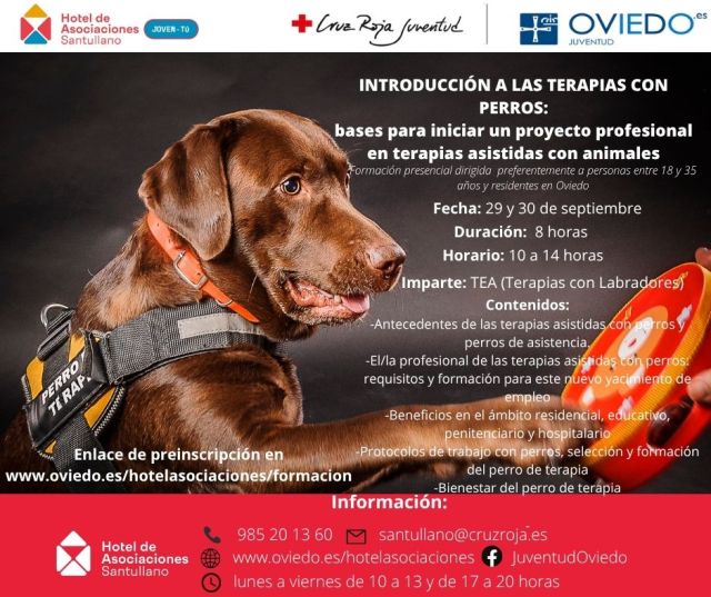  INTRODUCCIÓN A LAS TERAPIAS CON PERROS: bases para iniciar un proyecto profesional en terapias asistidas con animales   (FORMACION CONTINUA SANTULLANO)