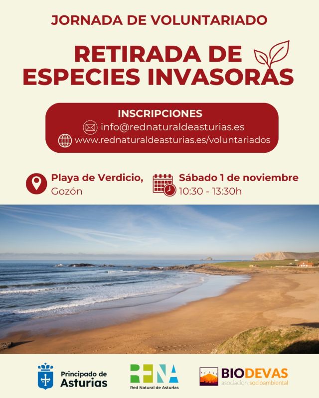 Voluntariado con la Red Natural y Biodevas: retirada de especies invasoras