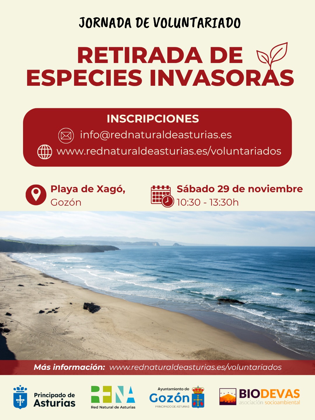 Retirada de especies invasoras en Playa de Xagó