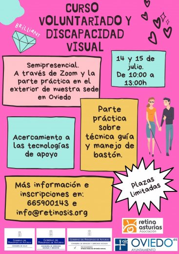 Curso: Voluntariado y Discapacidad Visual.