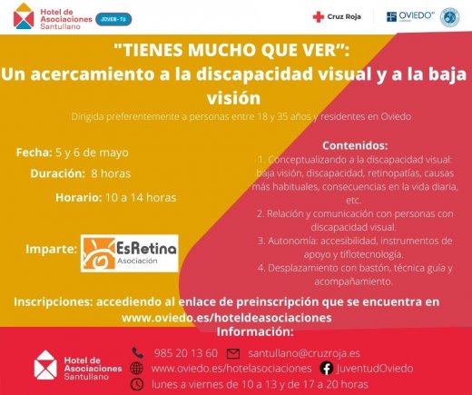 "TIENES MUCHO QUE VER”: UN ACERCAMIENTO A LA DISCAPACIDAD VISUAL Y A LA BAJA VISION