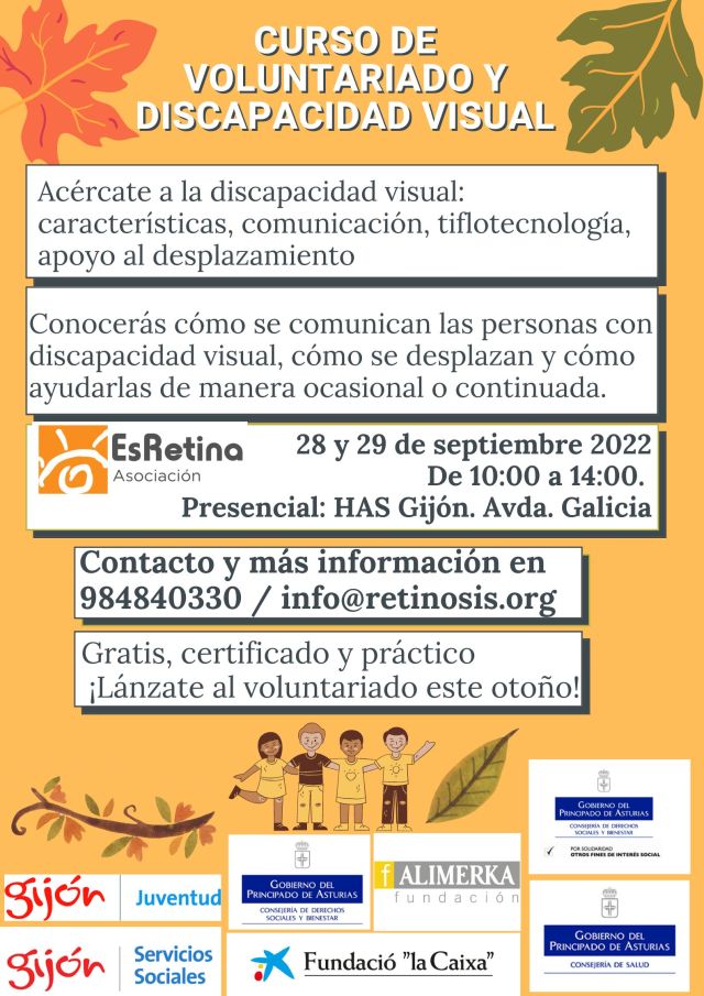  Curso de Voluntariado y discapacidad visual. 