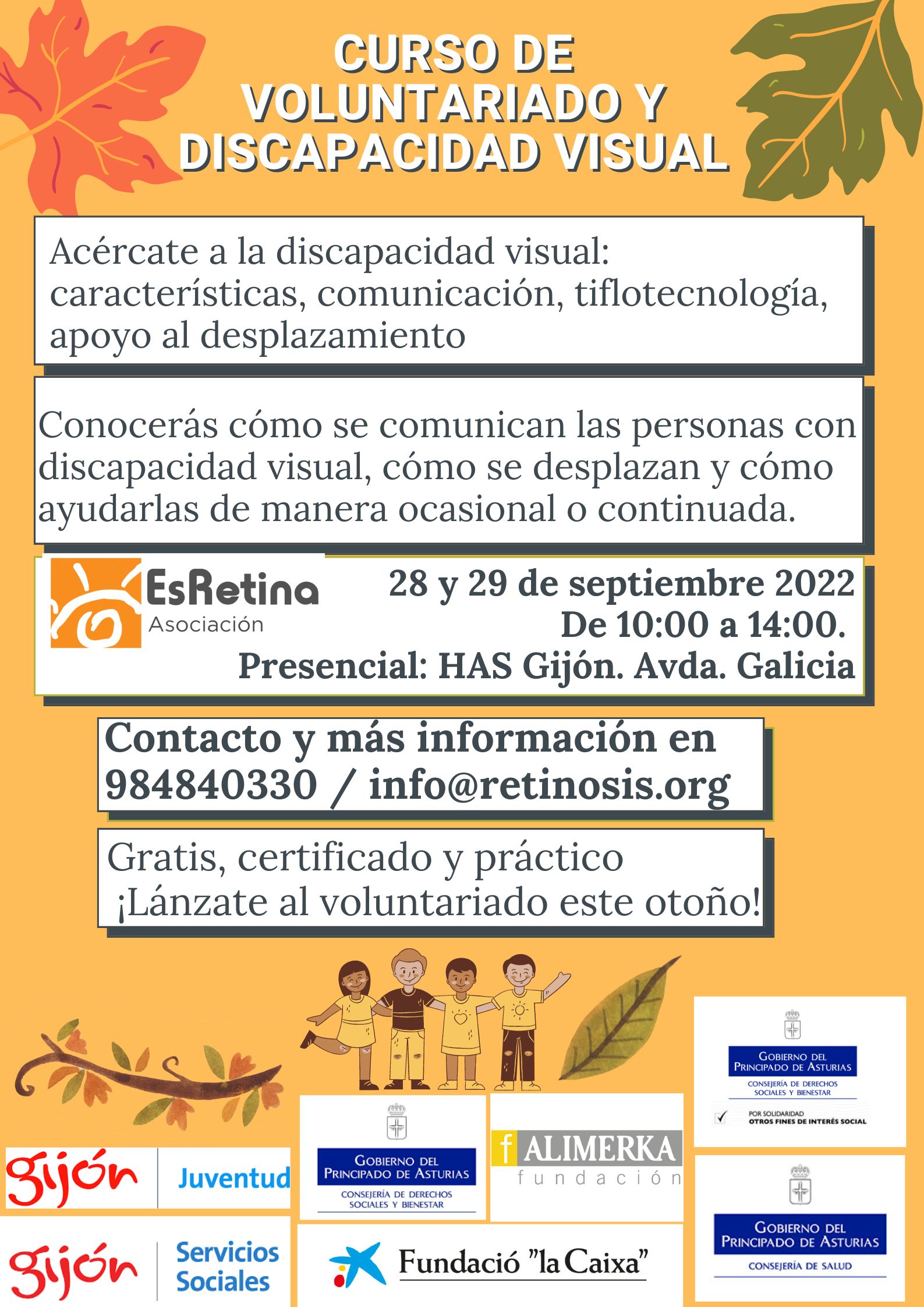  Curso de Voluntariado y discapacidad visual. 