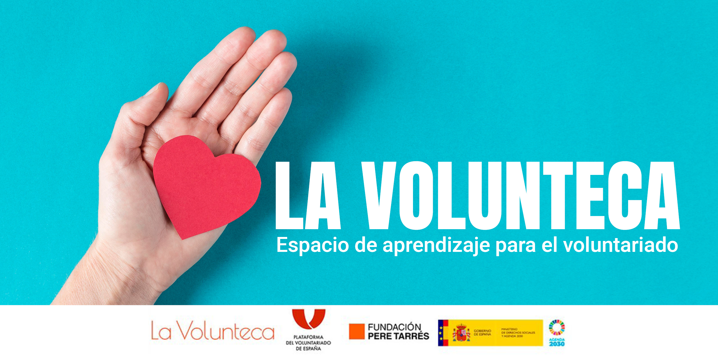 La evolución de la solidaridad en una sociedad pospandémica