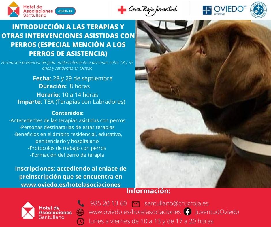 INTRODUCCIÓN A LAS TERAPIAS Y OTRAS INTERVENCIONES ASISTIDAS CON PERROS (ESPECIAL MENCIÓN A LOS PERROS DE ASISTENCIA)
