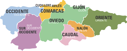 Mapa de Asturias con lineas divisorias por áreas sociosanitarias