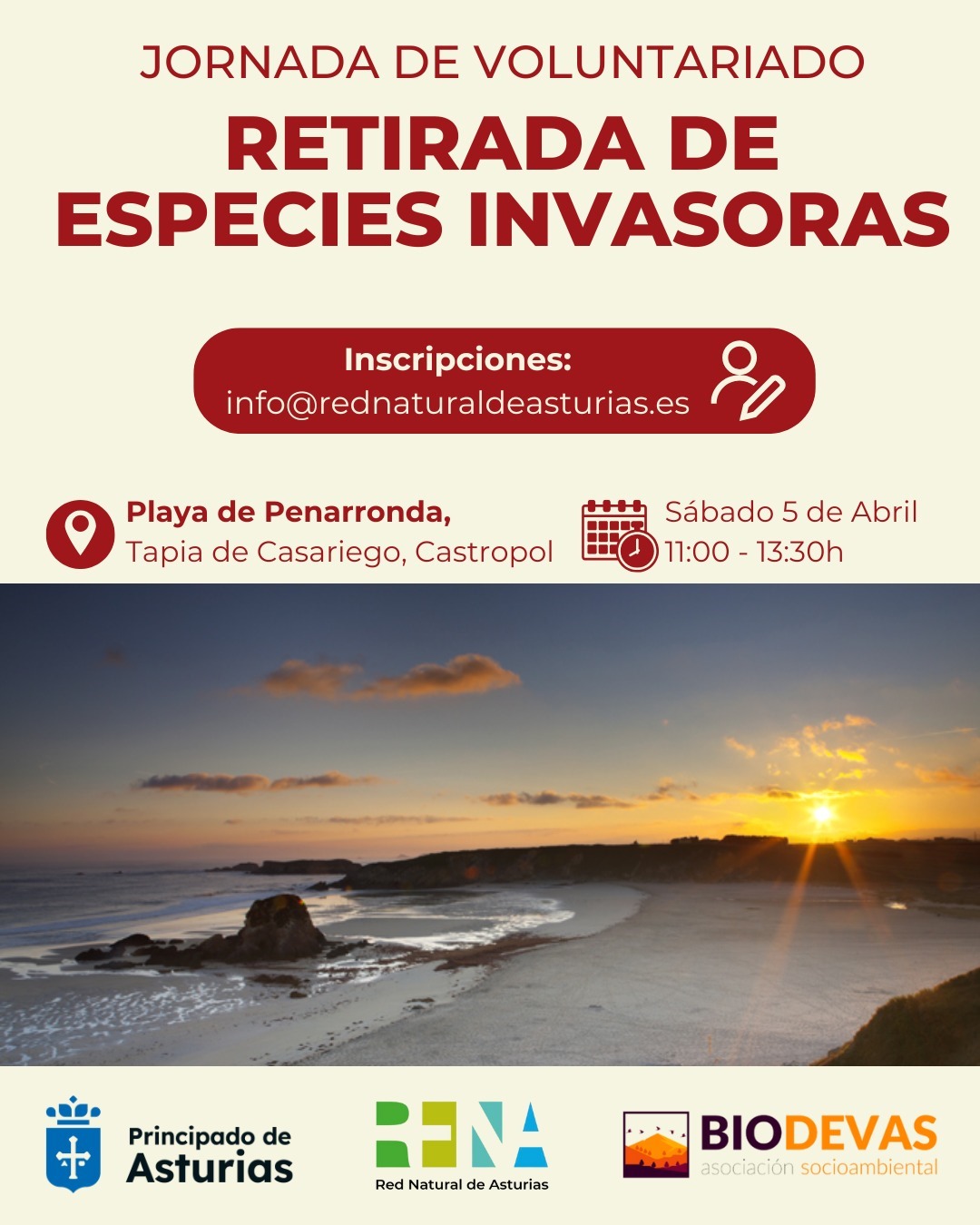 Jornada de Voluntariado Ambiental en la Playa de Penaronda