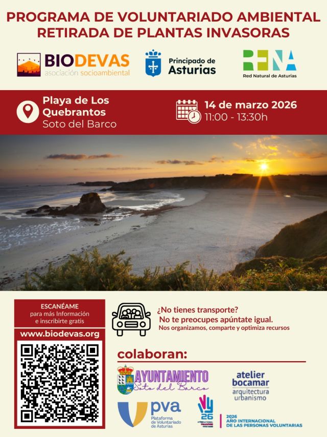 Retirada de Plantas Invasoras con Biodevas