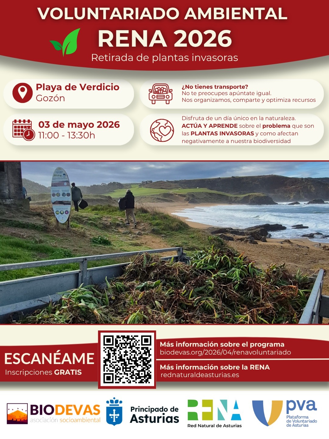 Voluntariado Ambiental: próxima intervención de retirada de invasoras