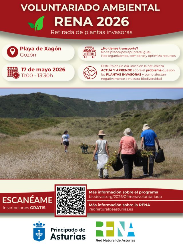 Voluntariado ambiental RENA 2026. Retirada de plantas invasoras en la playa de Xagón